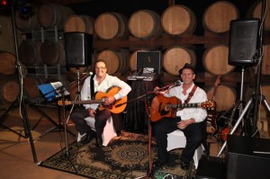 Acoostic Moose. Hunter Valley Wedding Music and Entertainment