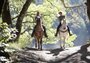 Hunter Valley Horse Riding