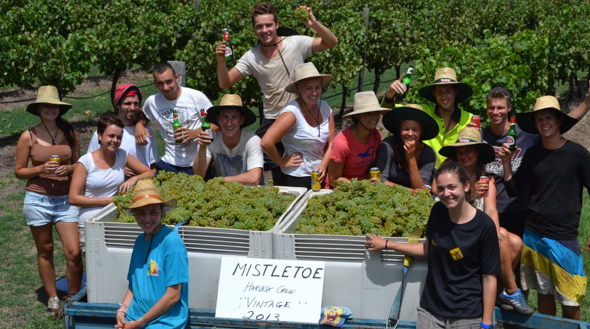 Mistletoe Wines. Hunter Valley Wine.