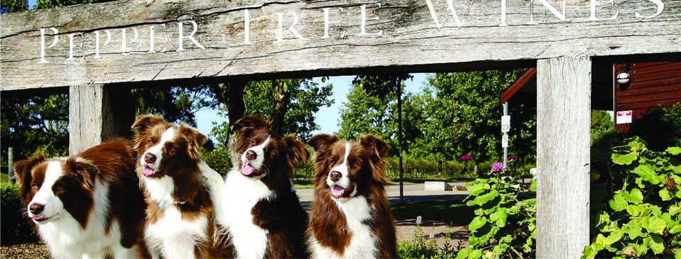 Pepper Tree Wines Pooch Picnic