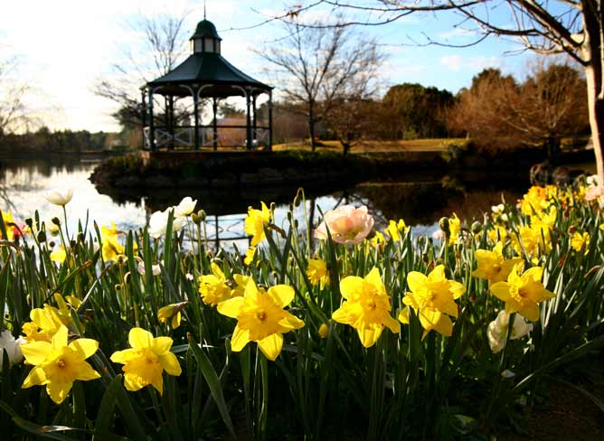 The Lakes Walk at Hunter Valley Gardens