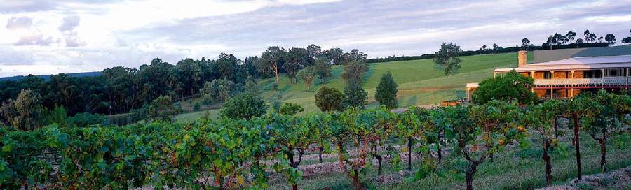 Calais Estate, Hunter Valley